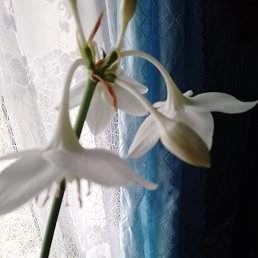 ���� ������, ��������, 60 ��� - ��������� 13 ������� 2023