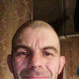 , 39, 