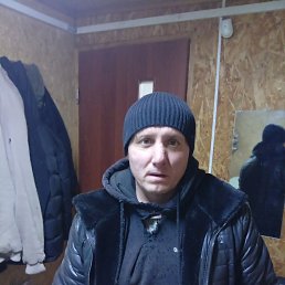 �������, 41 ���, ����