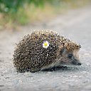 ���� ������ ����, ���������, 39 ��� - ��������� 2 ������� 2024 � ������ ���� ����������