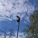 ���� �����, ����������, 44 ���� - ��������� 4 ��� 2024 � ������ �������