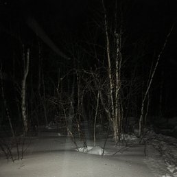 ���� ����, ������, 38 ��� - ��������� 12 ����� 2025