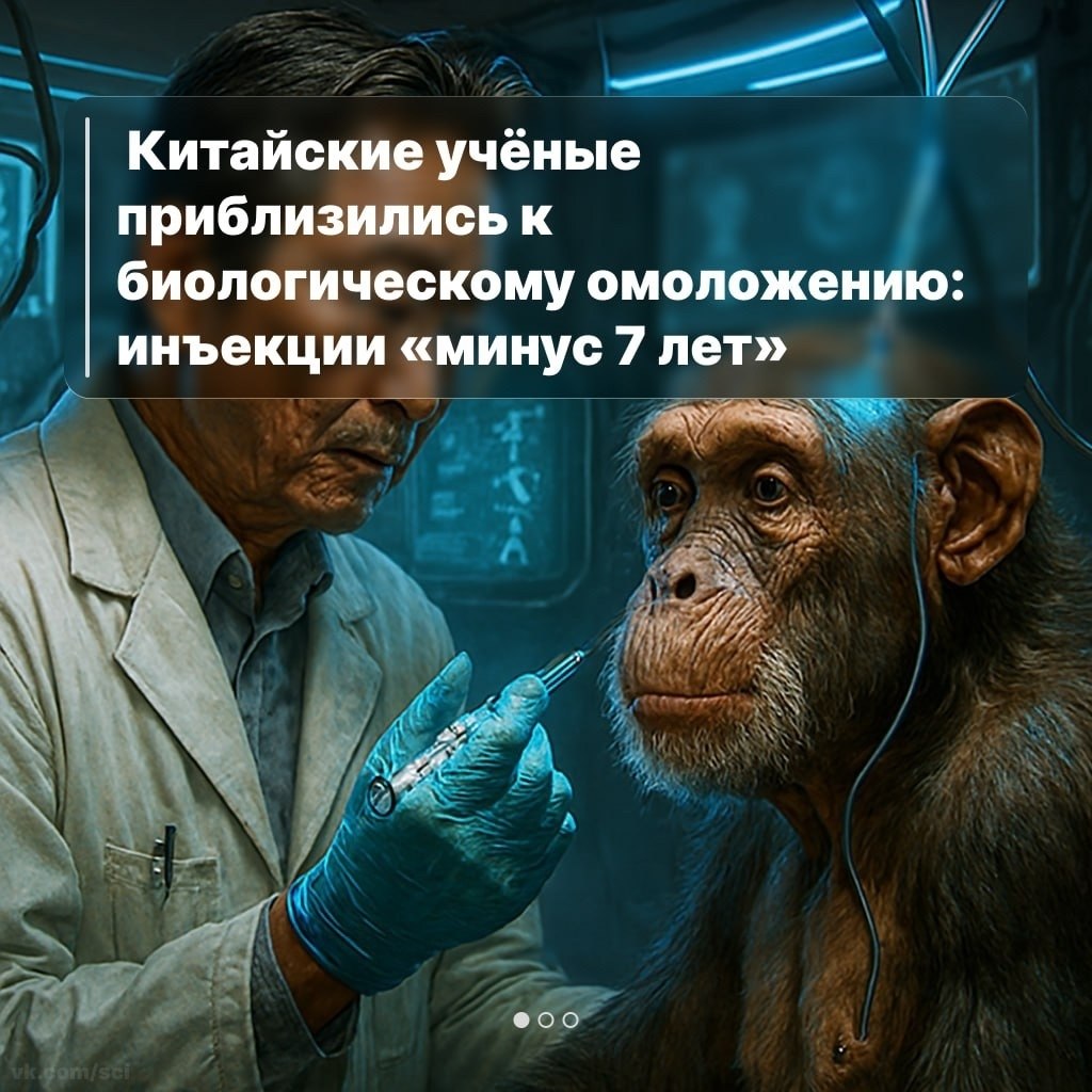 Путешествия | Туризм | Отдых на 5 - 24 сентября 2025 в 19:09