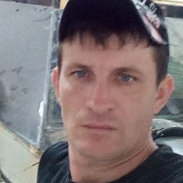 �����, ������, 37 ���