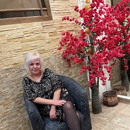 ���� �����, ������, 41 ��� - ��������� 14 ������ 2026