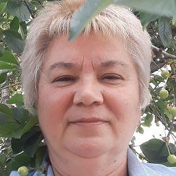 ��������, ����, 64 ����