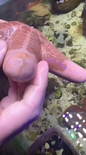 ��� �� ��, � ��� �� ������ ��� ��������!