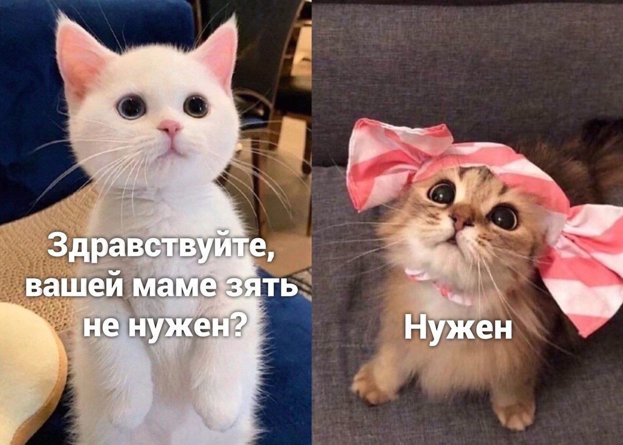 ��� ������ ��� �����