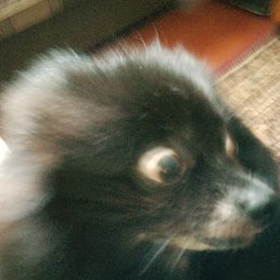 ������, �����, 20 ���