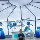 ���� �������, �����-���������, 44 ���� - ��������� 25 ������ 2026 � ������ ���� ����������