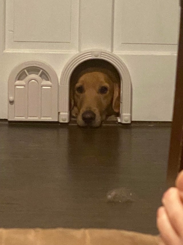 �� �� ����� ������������ � ������ ��� ����, � ��� ��� ����� ������������