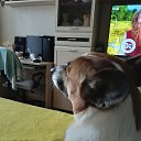 ���� ������, ������������, 50 ��� - ��������� 26 ���� 2025 � ������ ���� ����������