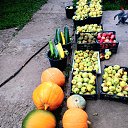 ���� ���������, ������, 70 ��� - ��������� 19 ���� 2026 � ������ ���� ����������