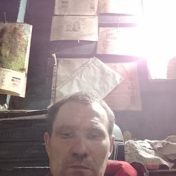 ����, 43 ����, ������