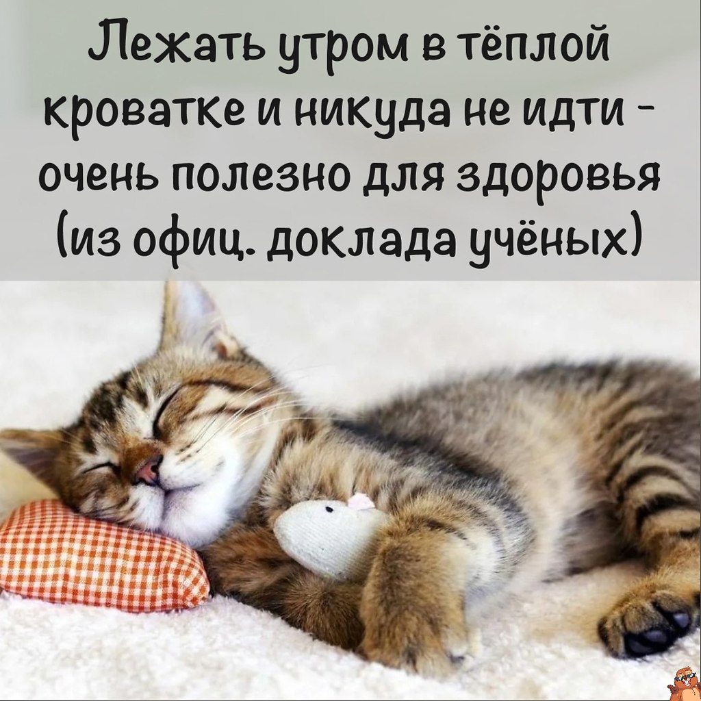   - 19  2025  10:19