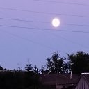 ���� �����, ���������, 51 ��� - ��������� 4 ���� 2026