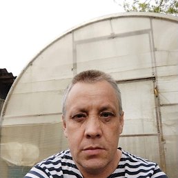 , 42, 