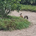 ���� �������, ����, 41 ��� - ��������� 27 ������� 2023 � ������ ���� ����������