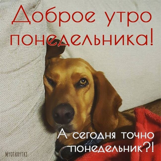 ***Victoria Viktorovna*** - 27 октября 2025 в 03:12