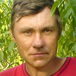 ������, �����������, 49 ���