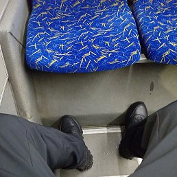 ����, �����-���������, 24 ����