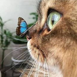 ���� �, ������� - ��������� 13 ������� 2025