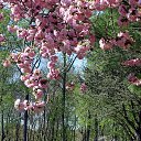 ���� ������, ��������� - ��������� 27 ���� 2025 � ������ ������ ��������