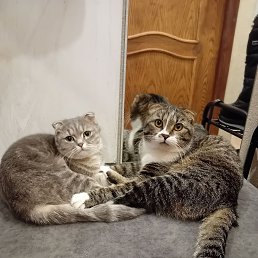 ���� ������, ��������, 54 ���� - ��������� 13 �������� 2025