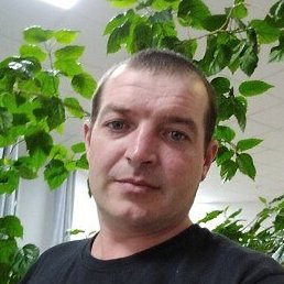 ����, �����, 36 ���