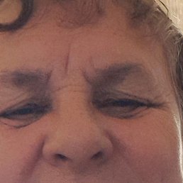 ������, ������������, 65 ���