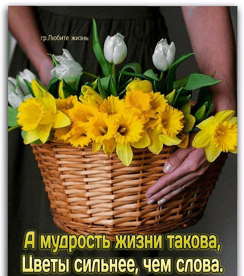  - 3  2025  13:23