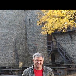 , 54 , 