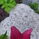 ���� ����, ��������� - ��������� 19 ���� 2026 � ������ ������ ��������