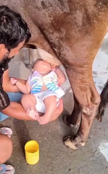 ������ ��� ���������, ���� �� ������ ���������, ����� ������� ��� ������ - 2