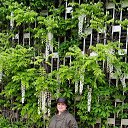 ���� ������, ������, 60 ��� - ��������� 9 ��� 2025 � ������ ���� ����������