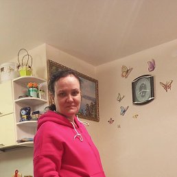 ���� ����, ������, 44 ���� - ��������� 15 ������ 2023