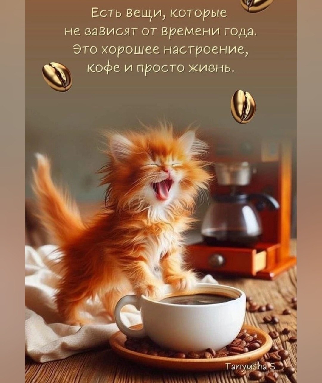 *T* - 22  2025  21:15