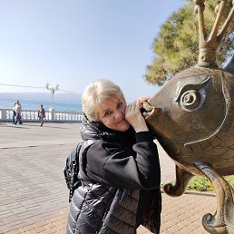 , 56, 