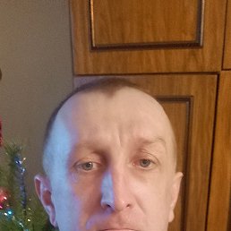 �����, 41 ���, ������