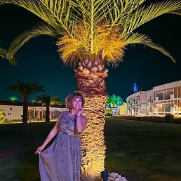 ����, ������������, 51 ���