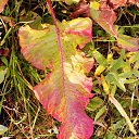 ���� ���������, ���� - ��������� 31 ������ 2025 � ������ ���� ����������