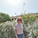 ���� �����, ������������, 38 ��� - ��������� 16 ���� 2024 � ������ ���� ����������