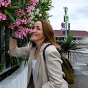 ���� ����, �����-��������� - ��������� 26 ����� 2026