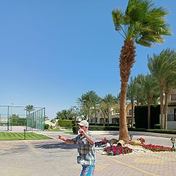 ��������, ������, 64 ����