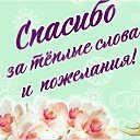 ���� ��������, ���� - ��������� 13 ������ 2024 � ������ ������ ��������
