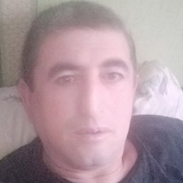 ����, �����-���������, 55 ���