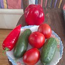 ���� ��������, ������, 59 ��� - ��������� 14 ������� 2024 � ������ ������