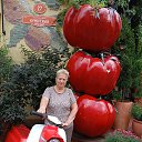 ���� �����, ����������� - ��������� 17 ������� 2025 � ������ ���� ����������