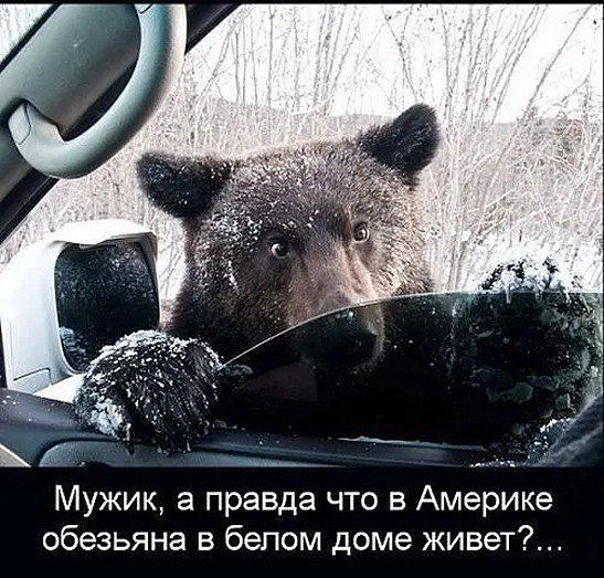 �� ����� - ������������� ������ �1 - 8 �������� 2025 � 08:57