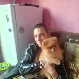 , 57, 